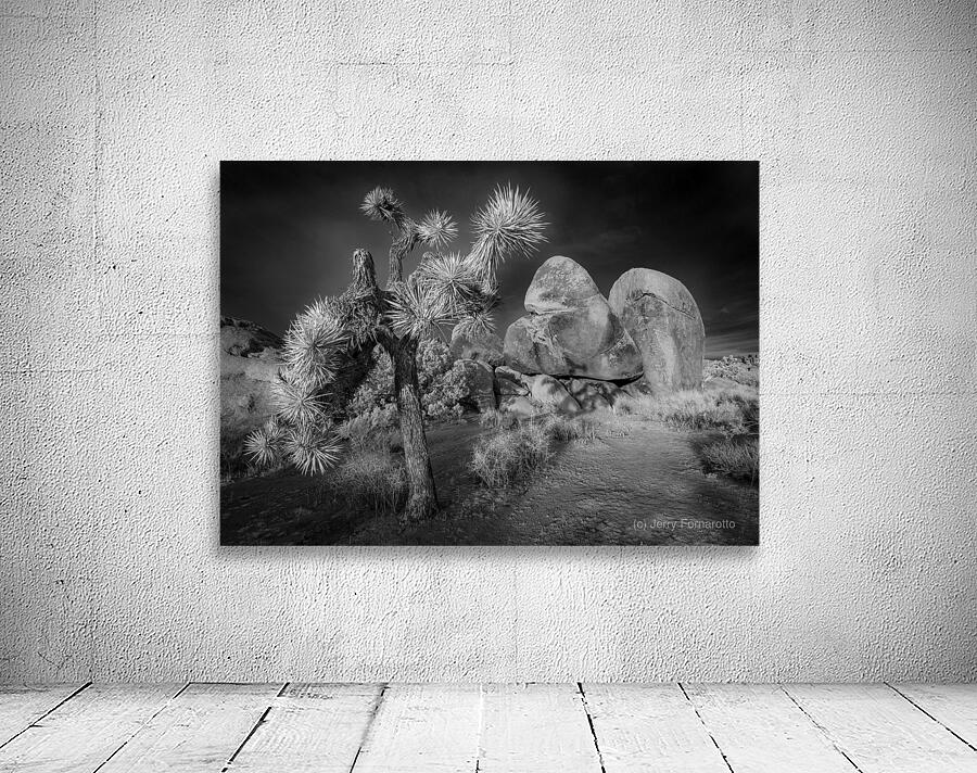 Moonlight on Joshua Tree Infrared Wall Preview