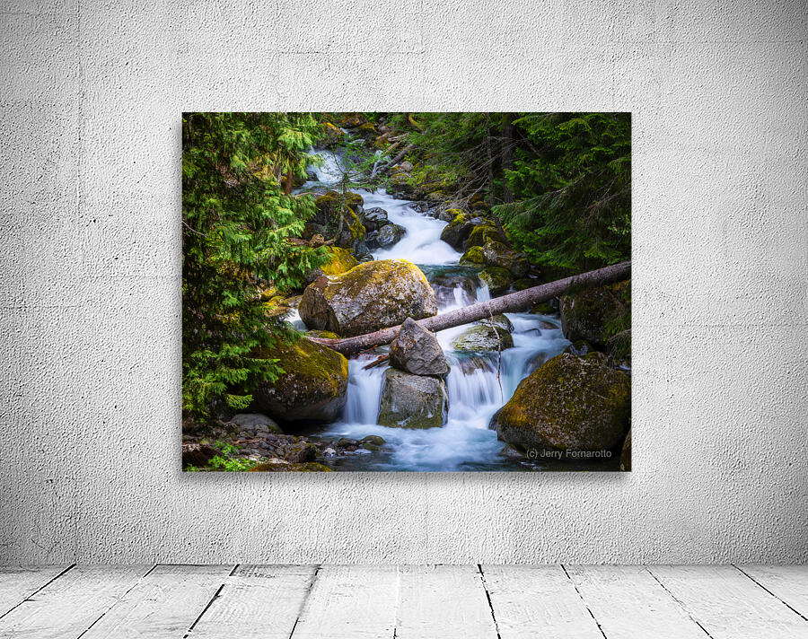 Forest Stream 4183b Wall Preview