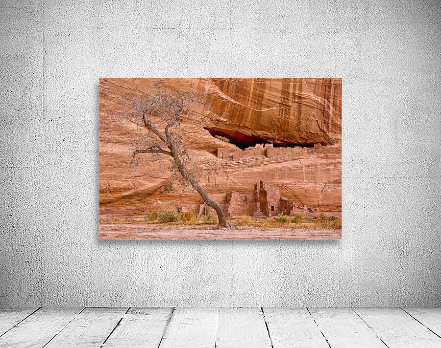 Faded Civilization Wall Preview