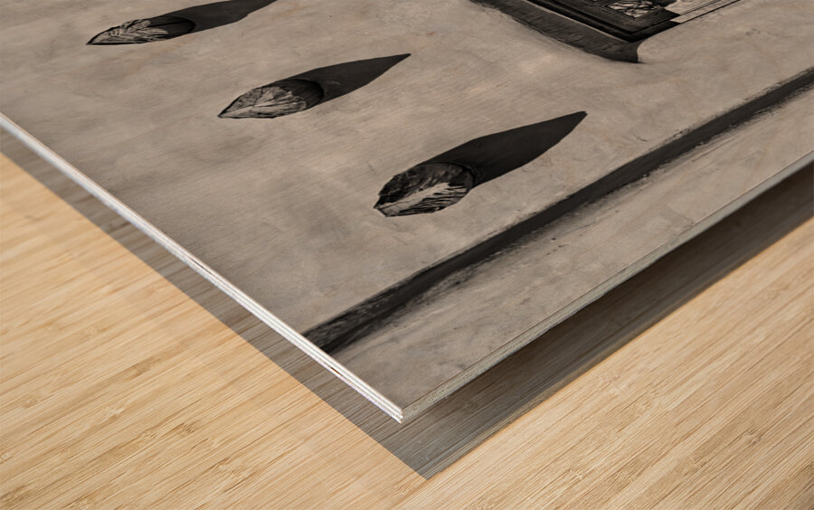 Window and Vigas B W Wood print