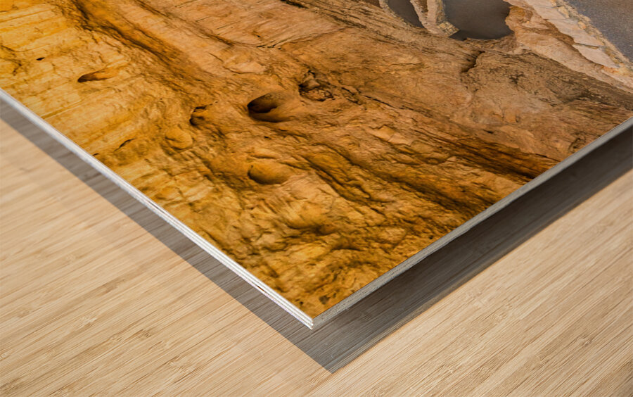 Path to Carlsbad Cavern Wood print