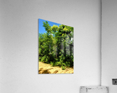 Lost Acrylic Print
