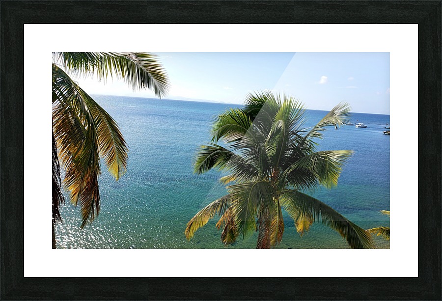 Viequez Port Picture Frame print
