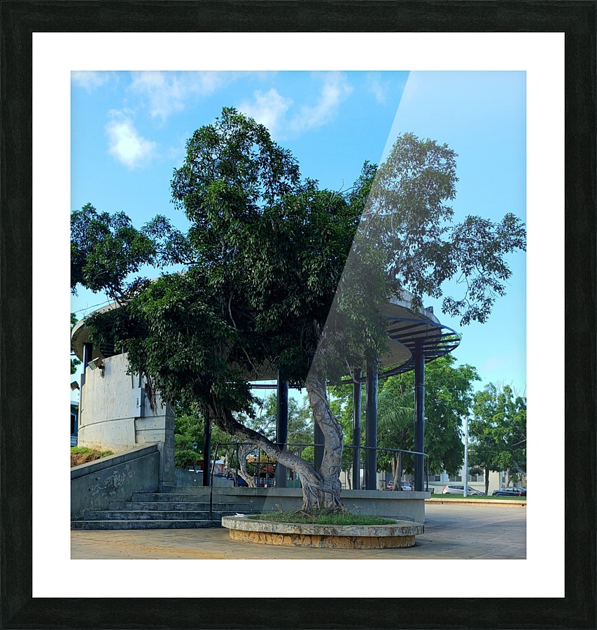 Elementary School Monument Picture Frame print