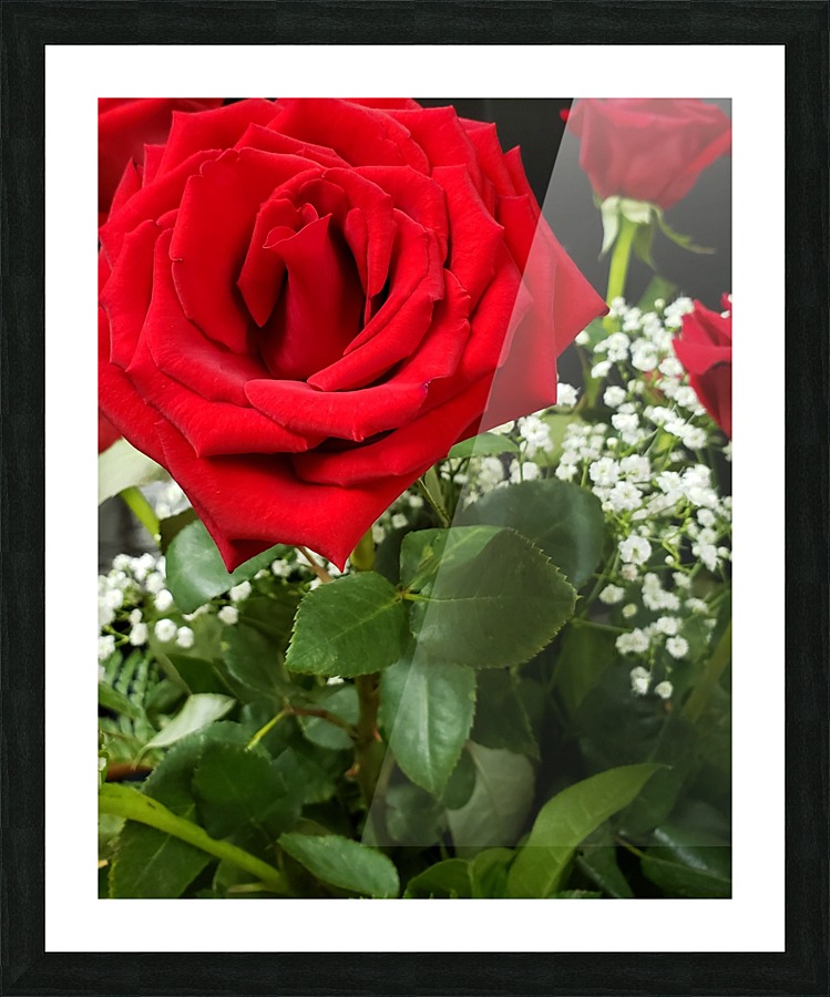 Rose Picture Frame print