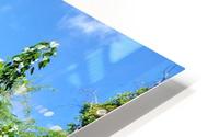 Palm HD Metal print