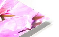 Pink Flower HD Metal print