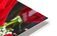 Rose HD Metal print