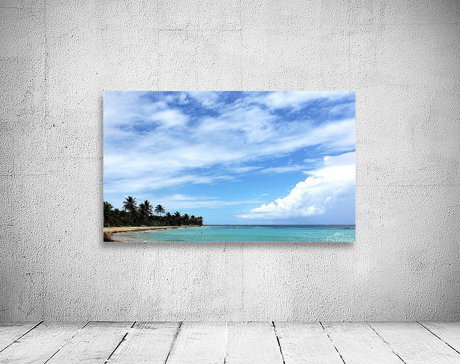 El Caribe Wall Preview