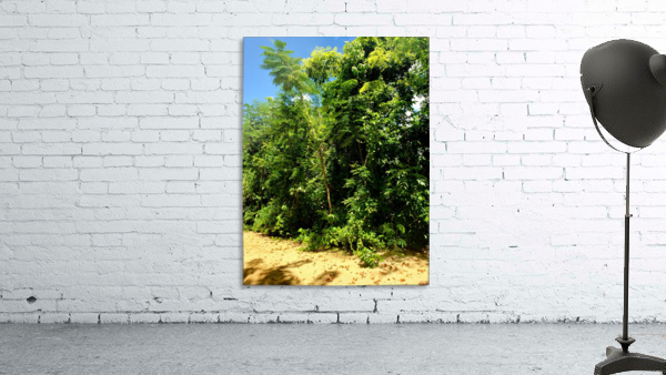 Lost Wall Preview