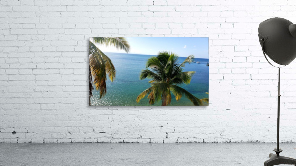 Viequez Port Wall Preview