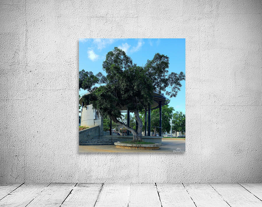 Elementary School Monument Wall Preview