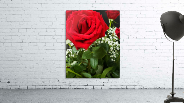 Rose Wall Preview