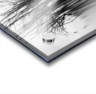 7240 Shadows Acrylic print