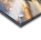 8455 Palouse Acrylic print