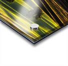 SLP0401 Palouse Acrylic print