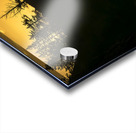 0107 Cape Disappointment Lighthouse Acrylic print