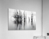 7240 Shadows Acrylic Print