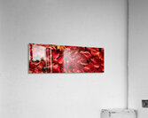 Autumn Red Leaf Panorama Acrylic Print