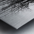 7240 Shadows Metal print