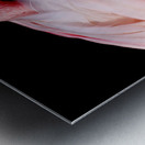 0212 Flamingo Metal print