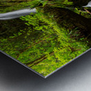 0333 Merriman Falls Metal print