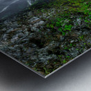 2557 Wahclella Falls Metal print