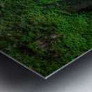 2572 Wahclella Falls Metal print