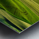 SLP0304 Palouse Metal print