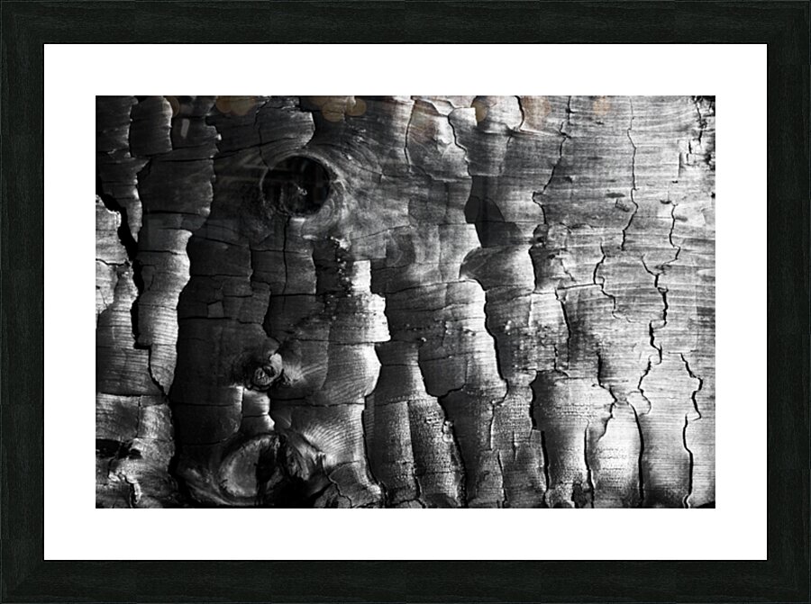 3650 Charred Wood Picture Frame print