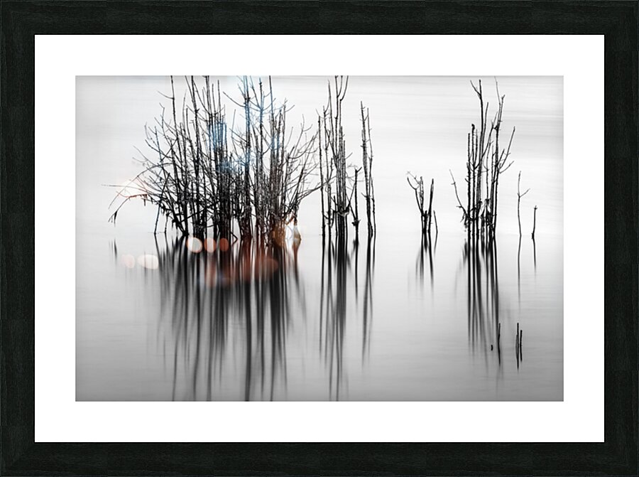 7240 Shadows Picture Frame print