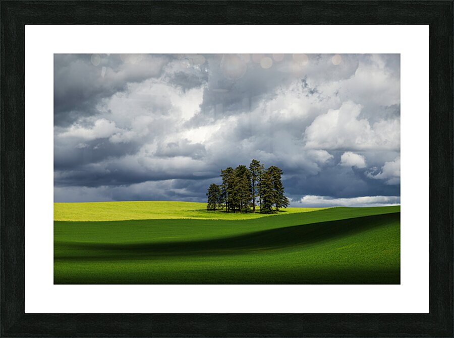 8806 Palouse Picture Frame print