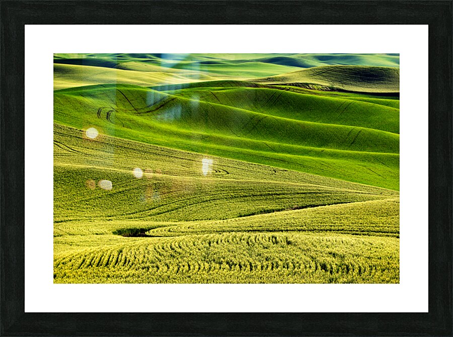 SLP0304 Palouse Picture Frame print