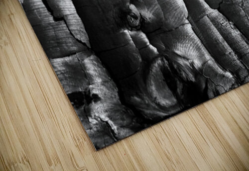 3650 Charred Wood Searching Lens Photography puzzle