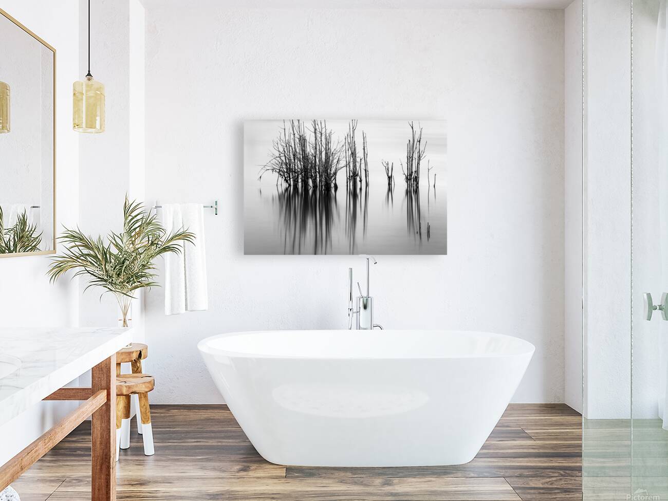 7240 Shadows Reproduction