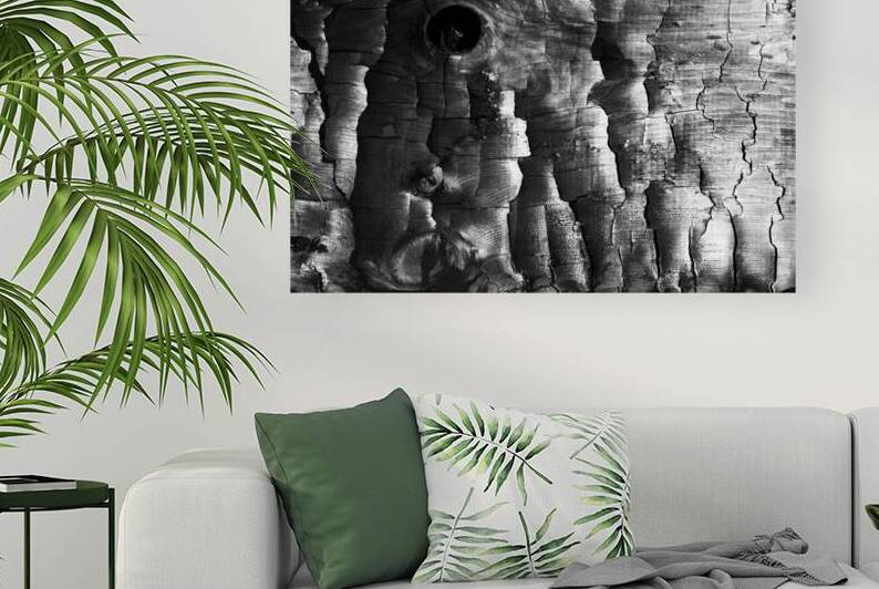 3650 Charred Wood by Searching Lens Photography
