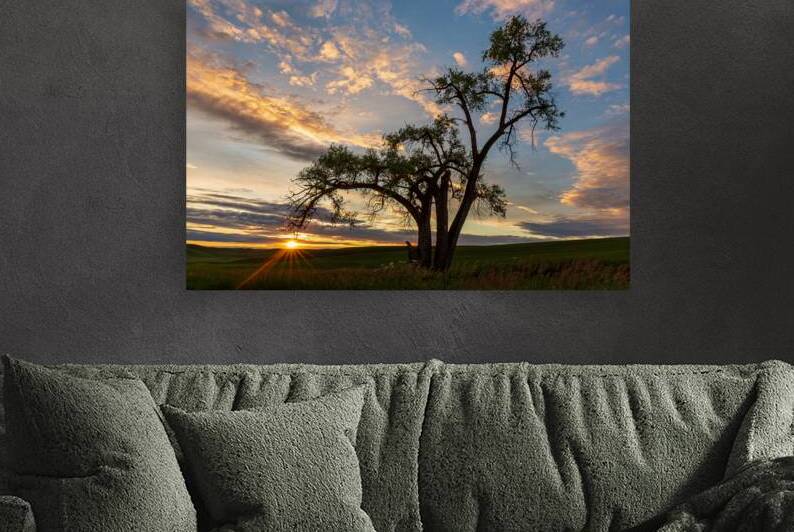 8455 Palouse by Searching Lens Photography