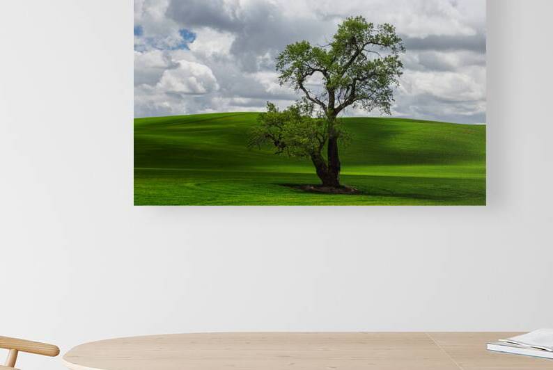 8720 Palouse by Searching Lens Photography