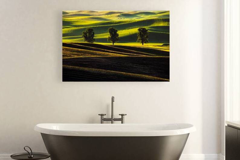 0401 Palouse by Searching Lens Photography