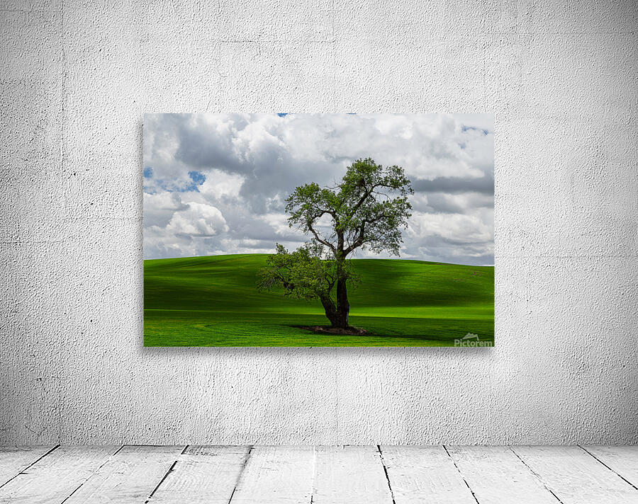 8720 Palouse Wall Preview