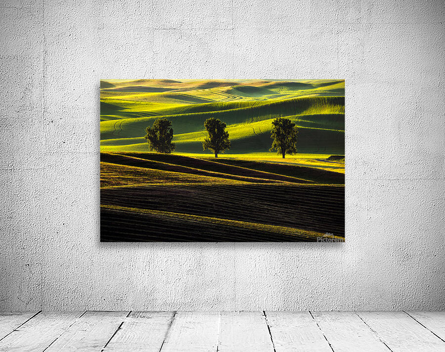 SLP0401 Palouse Wall Preview