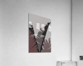 Royal palm crown Acrylic Print
