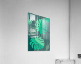 Tropical leaves Acrylic Print