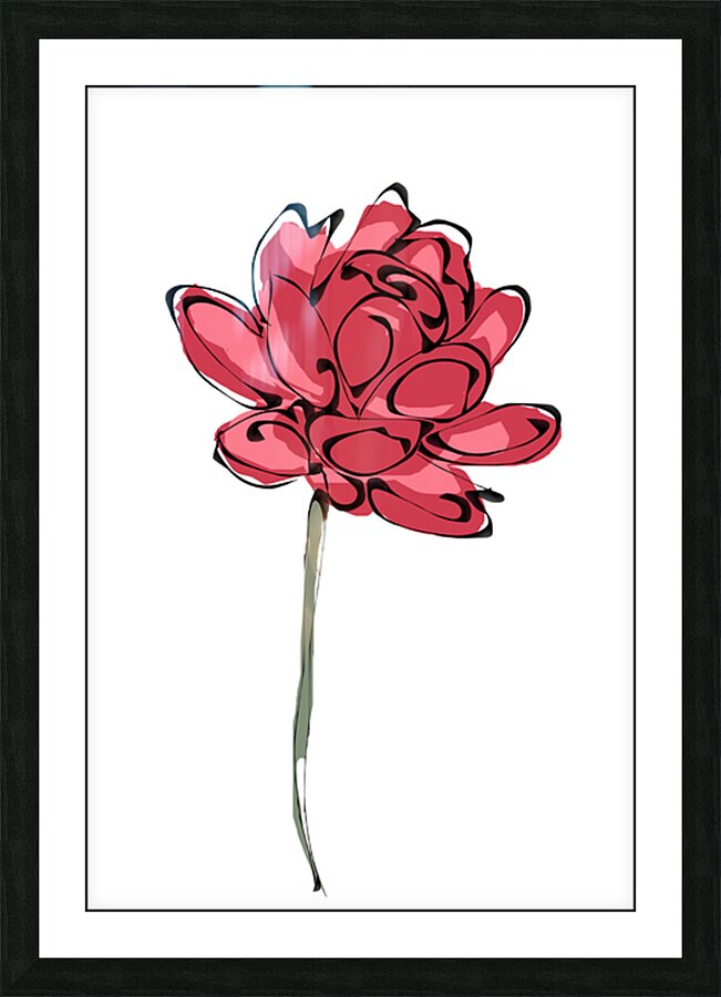 Beautiful red rose Picture Frame print
