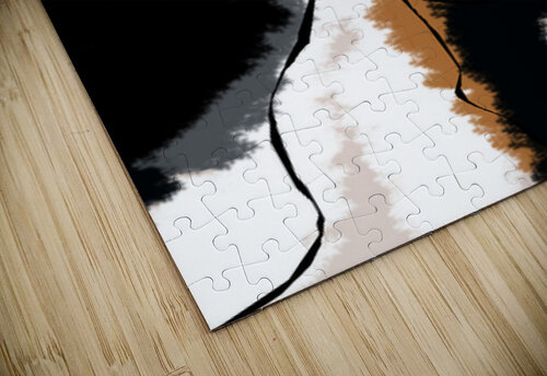 Seeking Happiness Mandeep Pannu puzzle