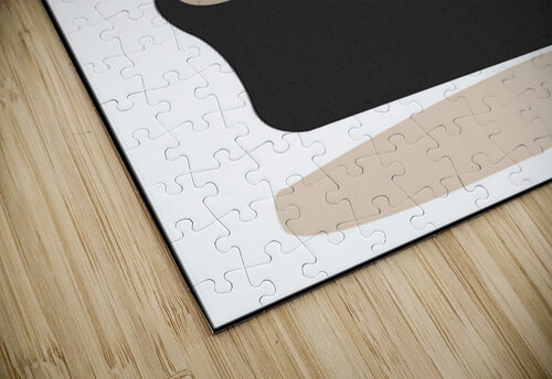 Silent Space Mandeep Pannu puzzle
