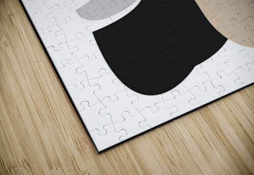 Soulful union Mandeep Pannu puzzle