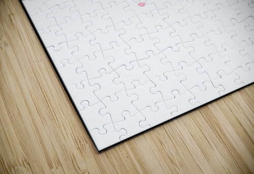 Flying feathers Mandeep Pannu puzzle