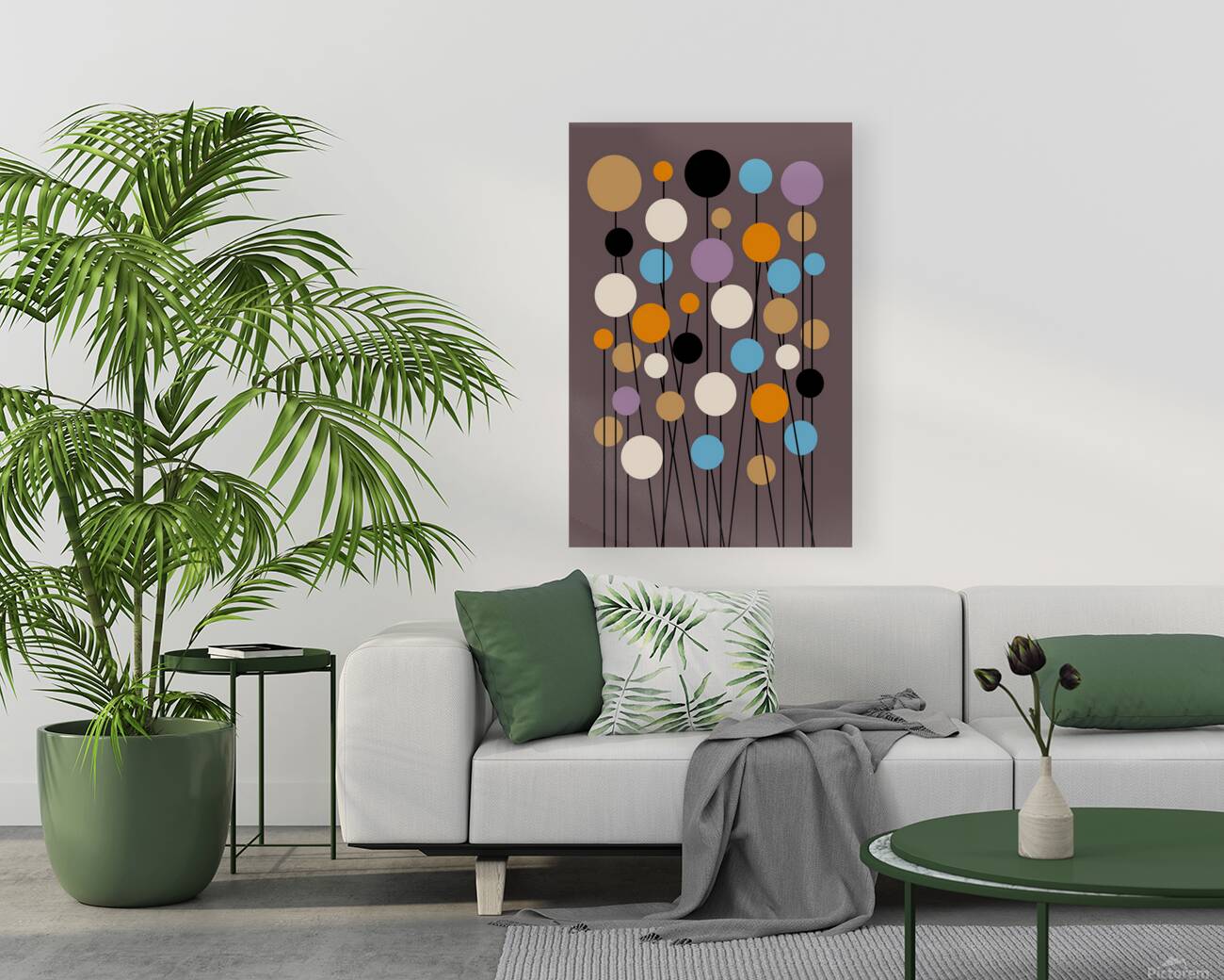 Carnation flowers Reproduction