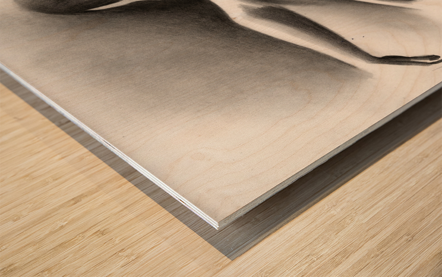 Roundism – 10-06-19 Wood print